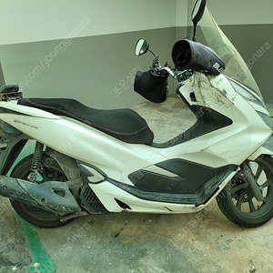 PCX125 2020년식