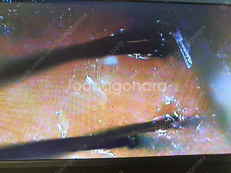 모낭충 & 혈류 두피 관찰 전자 현미경 KM-3000--2