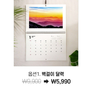 제이앤제나 역류방지쿠션 (역방쿠)