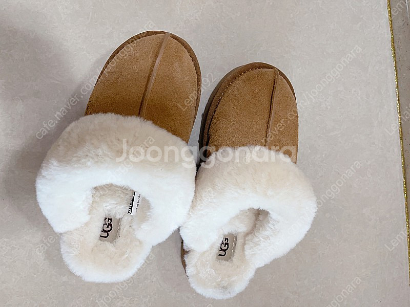 Ugg--0