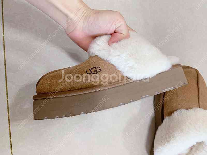 Ugg--1