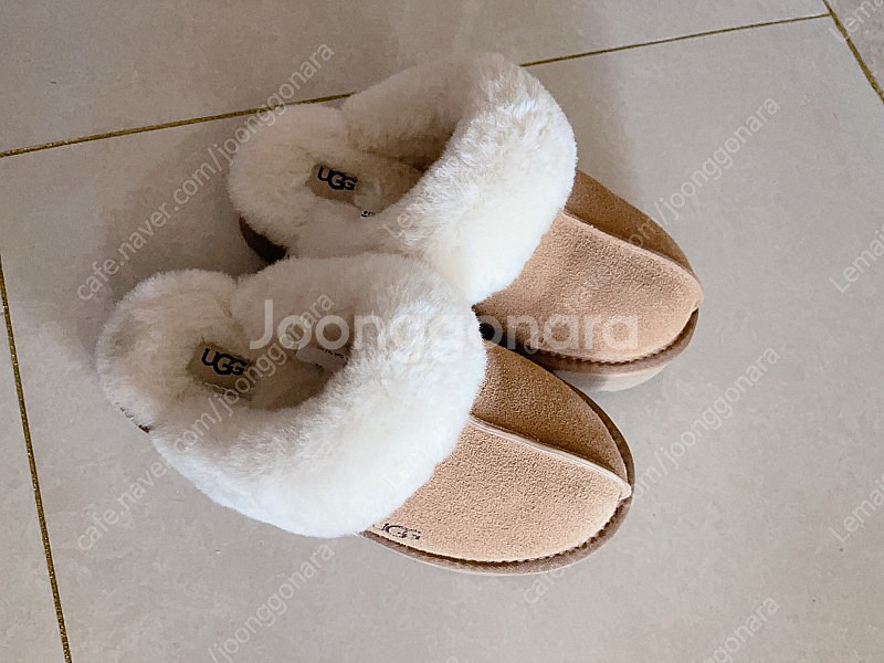 Ugg--4