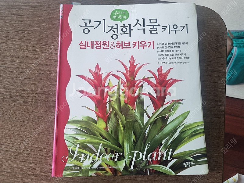 공기정화 식물키우기 책--0