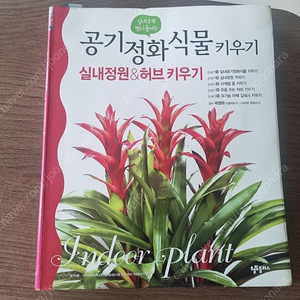 공기정화 식물키우기 책