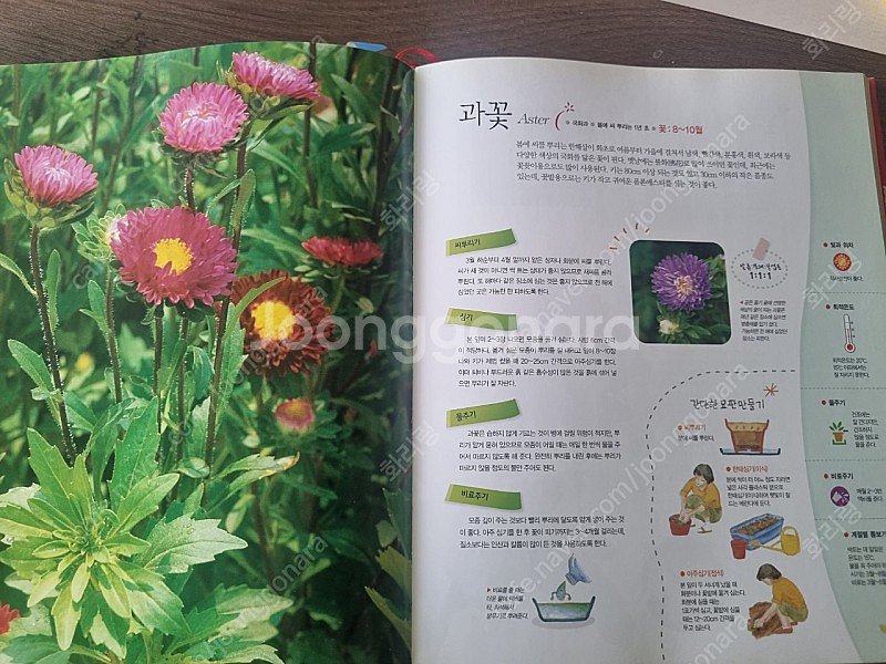 공기정화 식물키우기 책--3