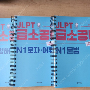 JLPT N1 급소공략