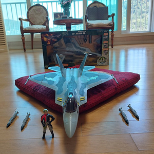 Gi joe 회색 위장무늬 F-22 팝니다