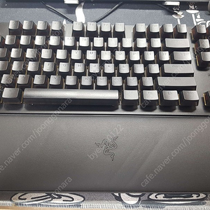 레이저 헌츠맨 v2 tkl 풀윤활