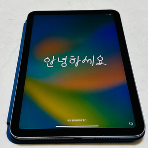 아이패드 미니6 WIFI 64g 스그