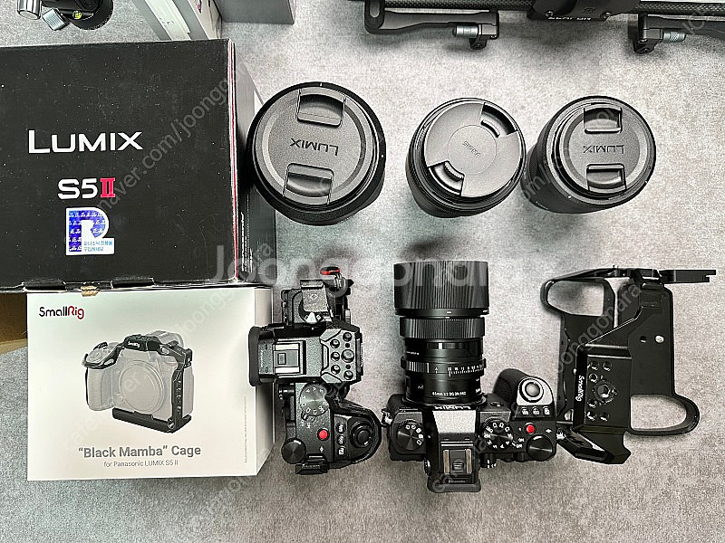 파나소닉S5 / 시그마 28-70 / 65mm F2 판...--0