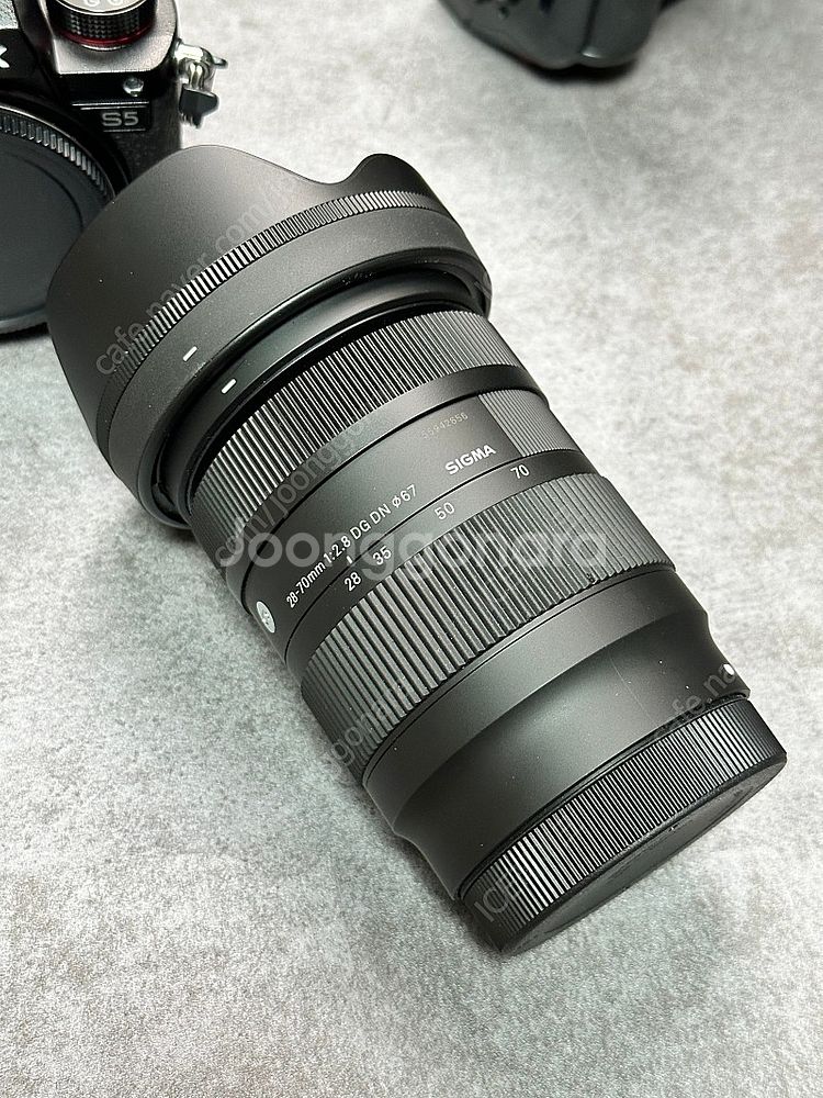 파나소닉S5 / 시그마 28-70 / 65mm F2 판...--2