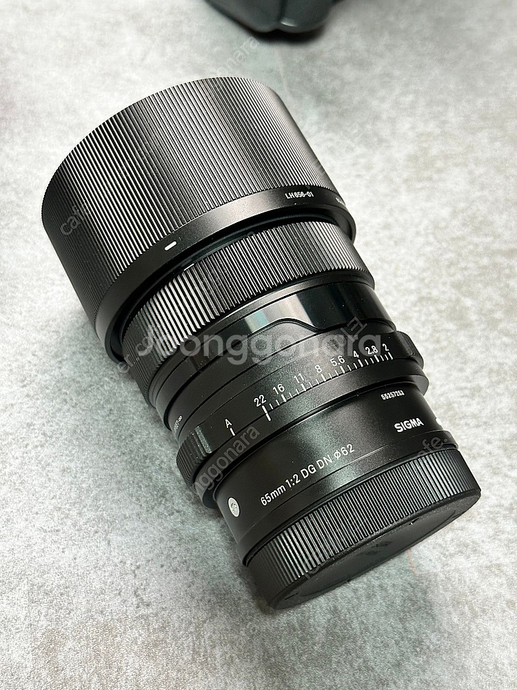 파나소닉S5 / 시그마 28-70 / 65mm F2 판...--3
