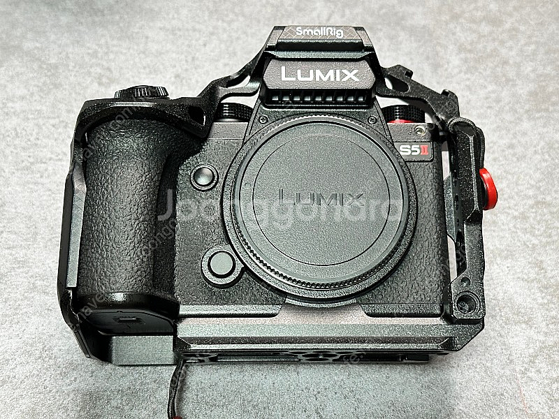 파나소닉S5 / 시그마 28-70 / 65mm F2 판...--5