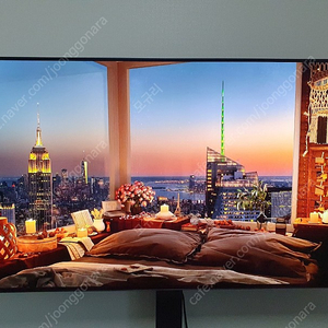 [김해/부산] OLED48C1KNB 팝니다. 올레드TV OLED TV 팝니다.