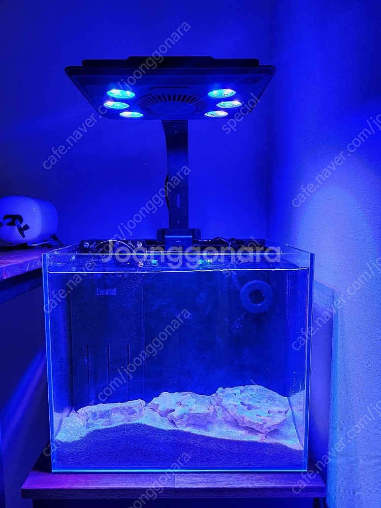맥스팩트 MJ-L165 blue--0