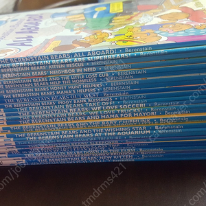 berenstain bears 26권 책 시디