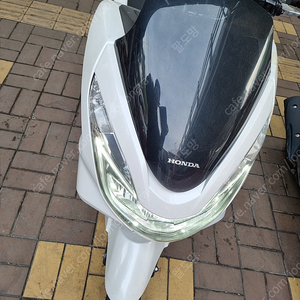 17년식 pcx 네고불가