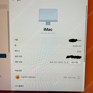2021 M1 아이맥 24인치 블루 기본형 8G 256G 팝니다