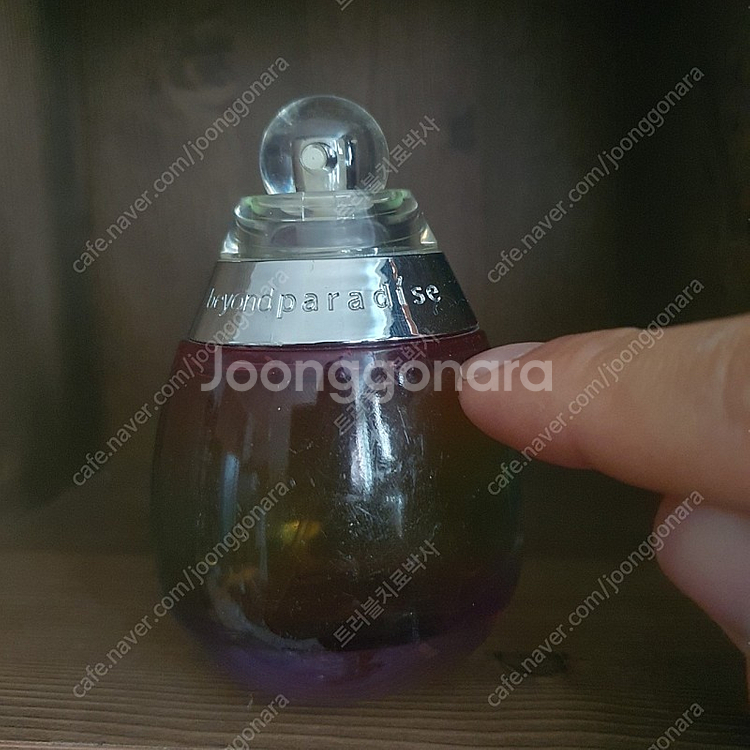 에스티로더 비욘드 파라다이스 EDP 50ml 향수--0