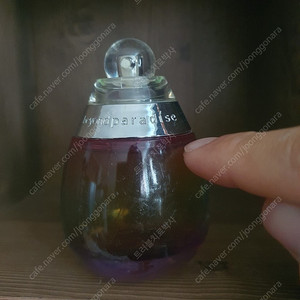에스티로더 비욘드 파라다이스 EDP 50ml 향수