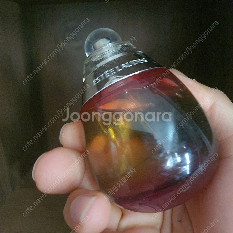 에스티로더 비욘드 파라다이스 EDP 50ml 향수--3