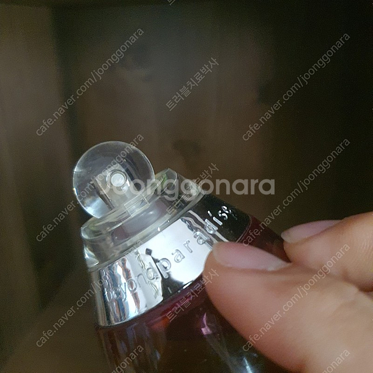 에스티로더 비욘드 파라다이스 EDP 50ml 향수--6