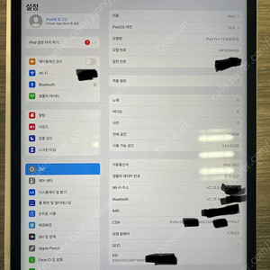 아이패드 프로 12.9 6세대 256GB 셀룰러 급처
