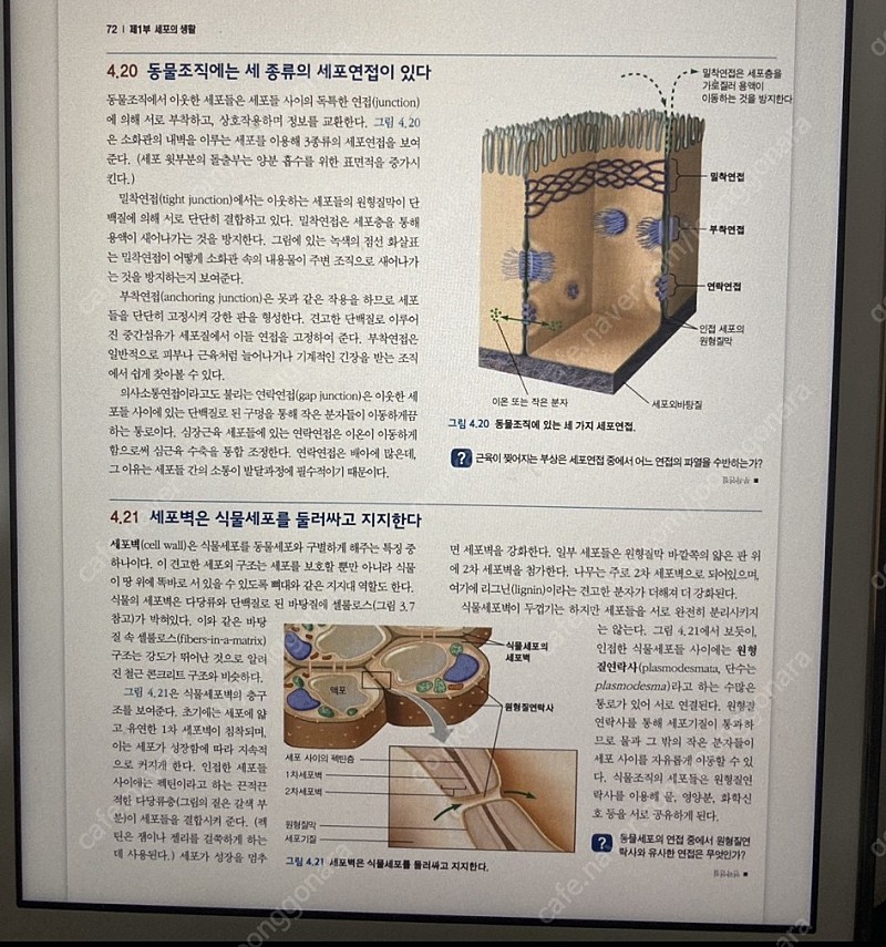 캠벨 생명과학 10판 pdf | 학습/교육 | 중고나라