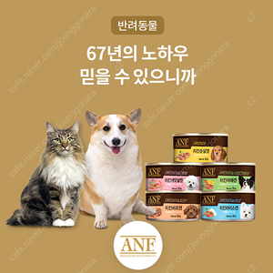 ANF 도그캔 95g×24개 팝니다 5종택1 정가4만5천 2만에 팝니다