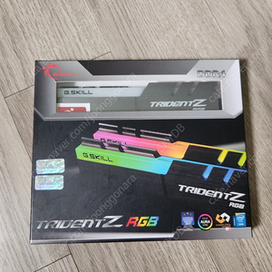 지스킬 트라이던트Z DDR4 32GB(16GB X 2) 3866 CL18 비다이