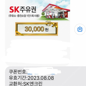 SK 주유권 30,000원권