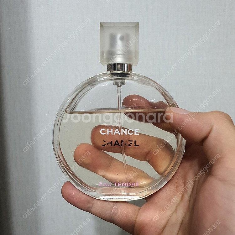 샤넬 샹스 오 땅뜨르 EDT 100ml 향수 (7)--0