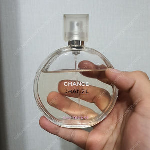 샤넬 샹스 오 땅뜨르 EDT 100ml 향수 (7)