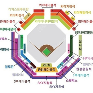 6/11 삼성vs롯데 블루존 티켓1장 구합니다!!