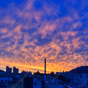 삼성 라이온즈 경기 삽니다 오늘꺼 2연석 롯데 삼성 삼성 롯데 경기 6월10일 토요일 6/10