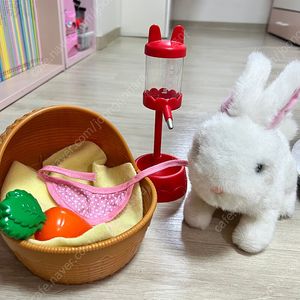 깡총깡총 아기토끼 키우기