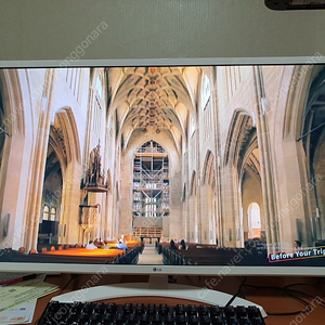 LG 32인치 IPS패널 모니터