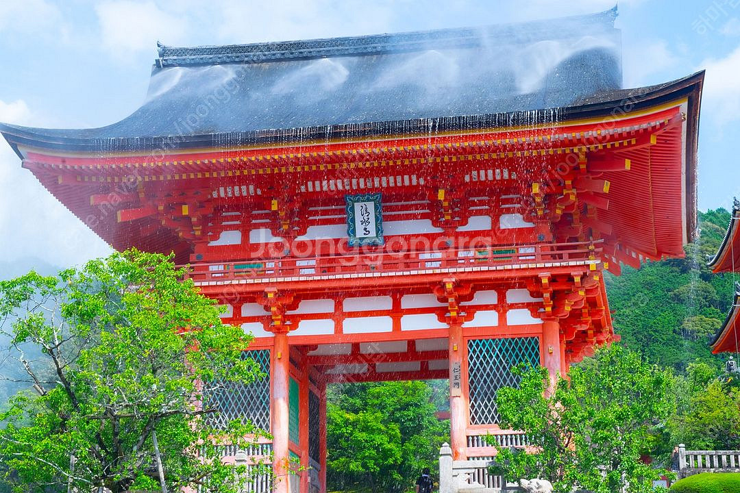 니콘 카메라 D5300 팝니다--3