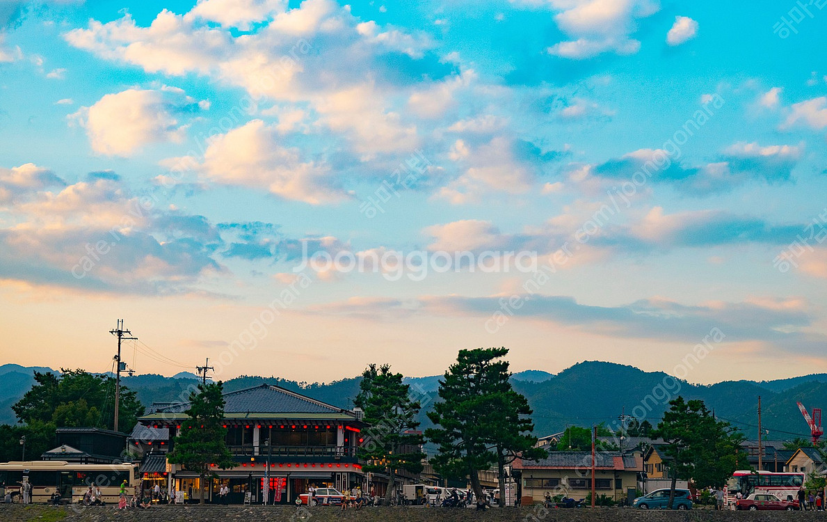 니콘 카메라 D5300 팝니다--4
