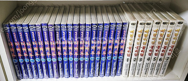 [수집용] 개인소장용 희귀절판 명작 '패왕전설 타케루 ...--0
