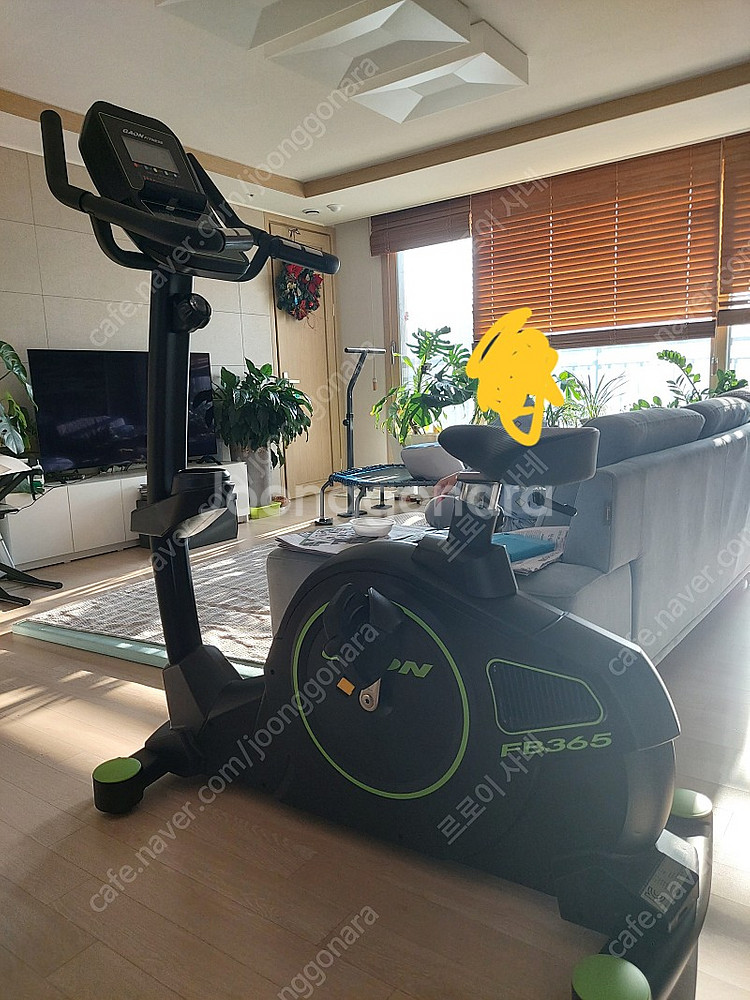 클럽용 입식,좌식싸이클 판매합니다(새제품-박스포장)--1