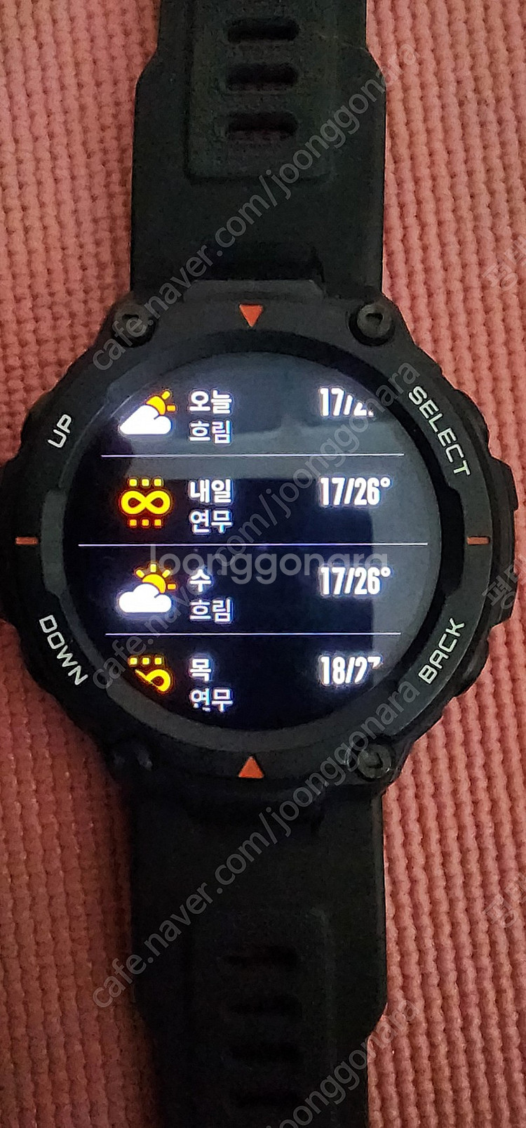 어메이즈핏 티렉스--0