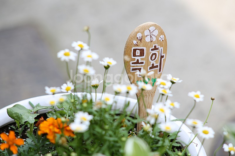 올드렌즈 필름카메라 필카 펜탁스 슈퍼타쿠마(Super-Takumar) 135mm f2.5--9