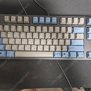 리얼포스 r2 tkl 45g 그레이블루