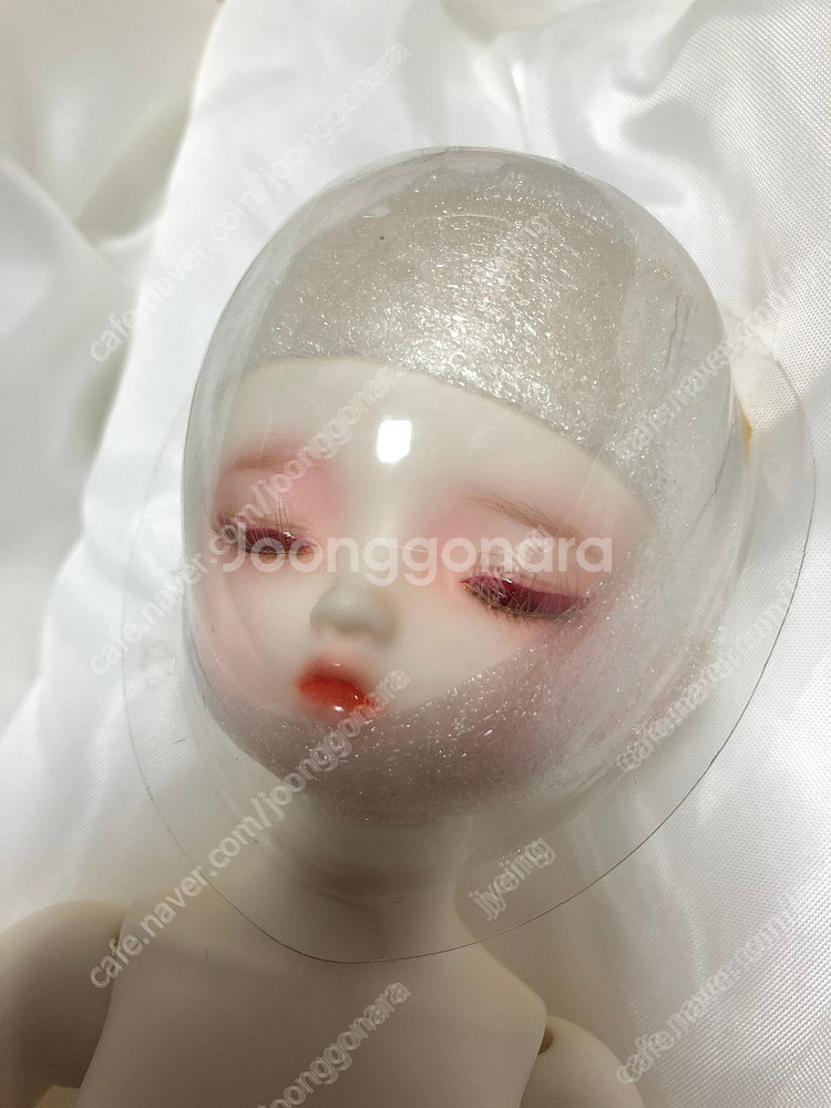 구체관절인형 리틀모니카 루실(USD), 클리프(MSD)--8
