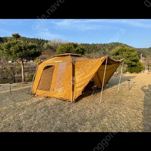 엘시드텐트(차박이든 자립이든 좋아요빠르고 간편설치)