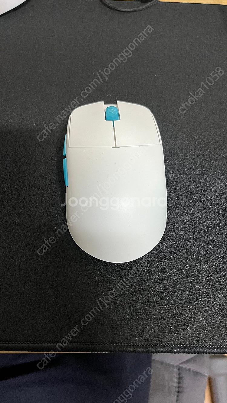 람주 아틀란티스 미니--1