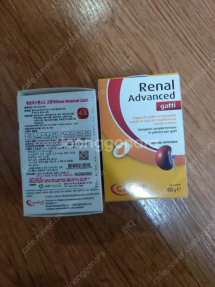 레날 어드밴스드 캣--0