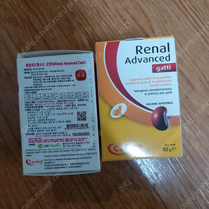 레날 어드밴스드 캣