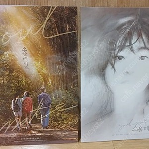 소울메이트 포스터 숲+김다미 새것